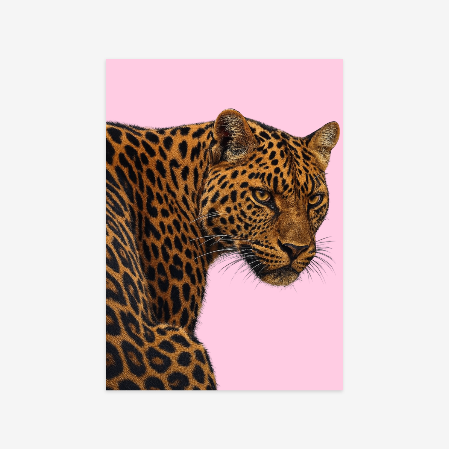 Leopard Poster