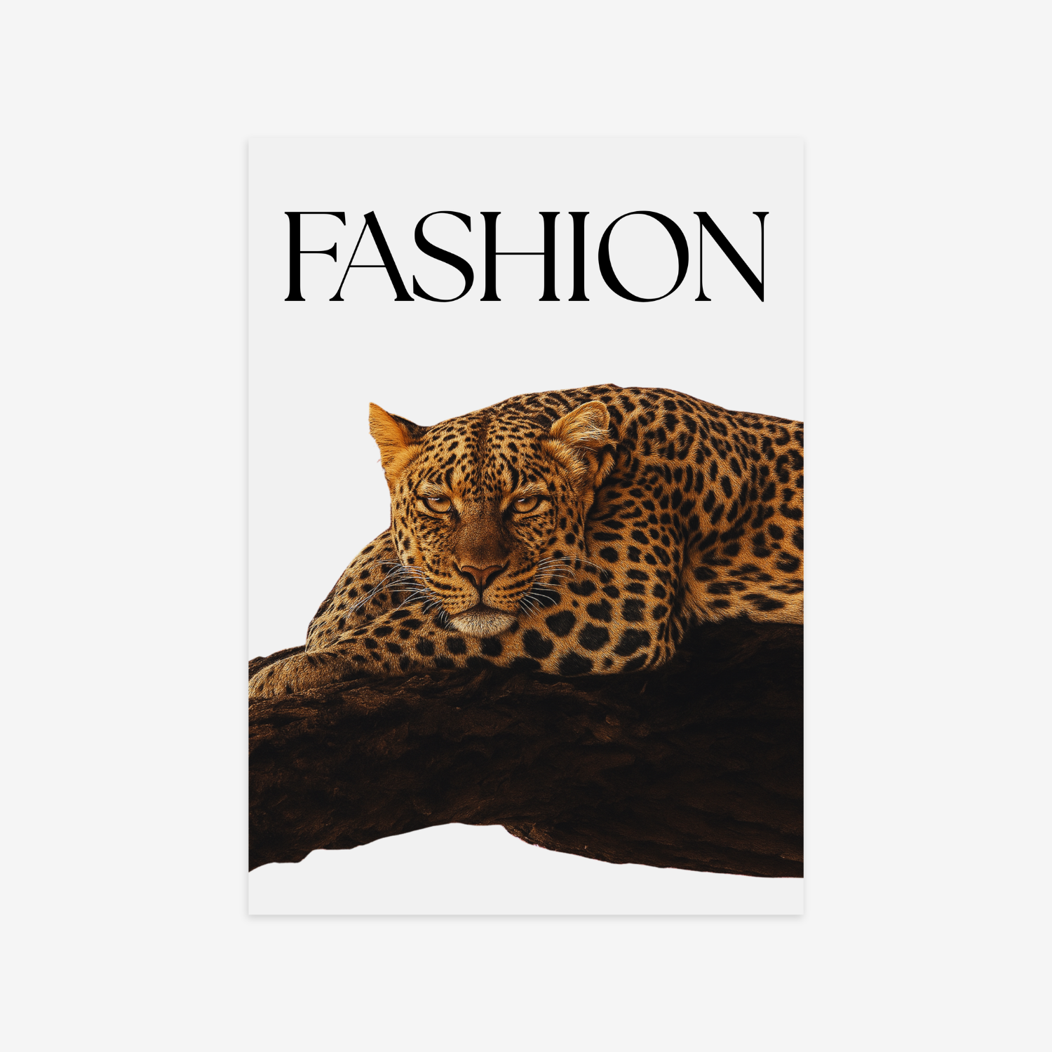 Leopard Fashion Poster